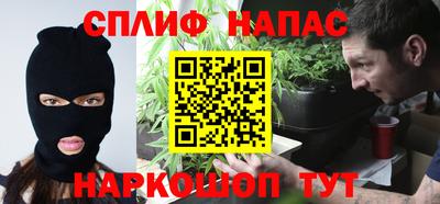 ешки Будённовск