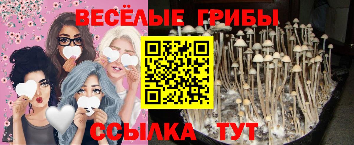 Галлюциногенные грибы мицелий Приморско-Ахтарск